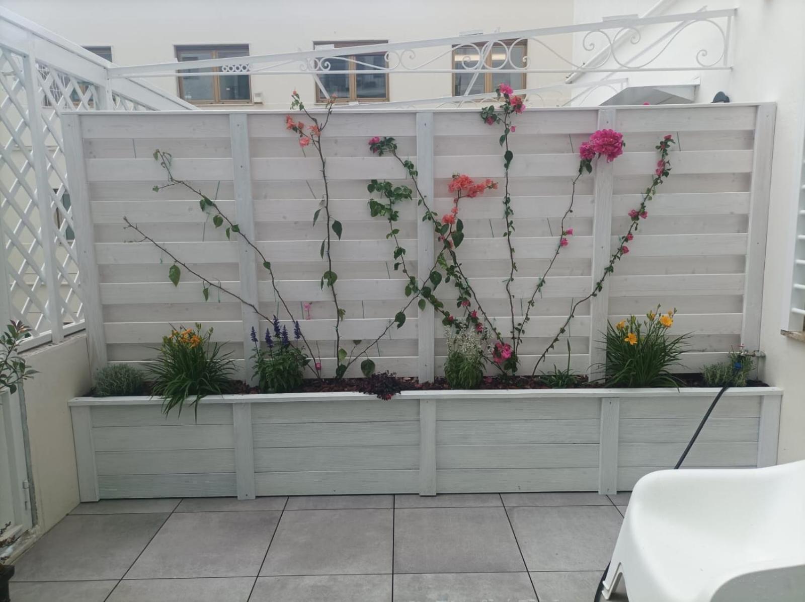 Guest house Domus Cervantes Naples